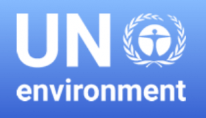 UN Environment Statement on Paris Agreement and US decision.
